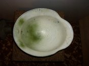 DSC00378.jpg