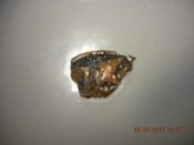 DSCN5116.jpg