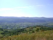 DSC02900.JPG