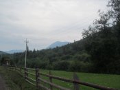 IMG_4031.JPG
