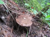 IMG_4063.JPG