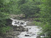 IMG_4083.JPG