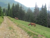 IMG_4097.JPG