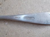 DSCN7078.JPG