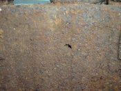 DSCF0782.JPG