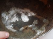 DSC01363.JPG