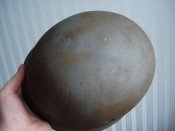 DSC01590.JPG