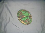 DSC09210.JPG