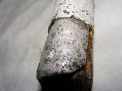DSCF7641.JPG