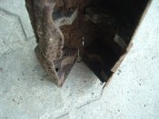 DSCF0851.JPG