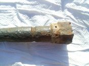 CAM01817.jpg