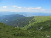 IMG_4159.JPG