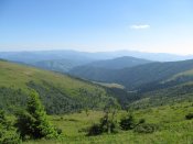 IMG_4161.JPG