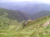 IMG_20150627_124028.jpg