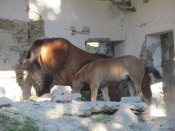 IMG_4179.JPG