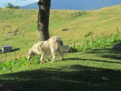IMG_4182.JPG
