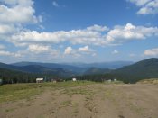 IMG_4197.JPG