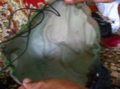 DSCN1351.JPG
