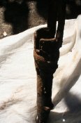 IMG_2376.JPG