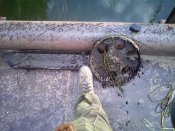 IMG0526.jpg