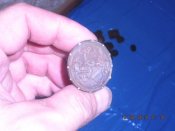 DSCN5158.jpg