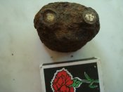 DSC05167.JPG