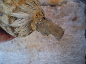 DSCN3857.JPG