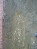 IMG_5407.JPG
