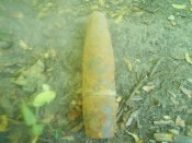 DSCN5646.JPG