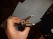DSC00055.JPG