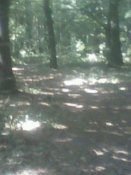 IMG0056B.jpg