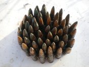 Изображение 359.jpg