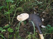 100_0102.jpg
