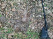 100_0157.jpg