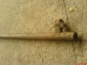 DSC02510.JPG