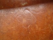 IMG_0326.JPG