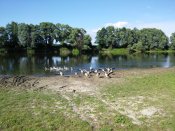 20150624_173949.jpg