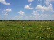 20150625_131734.jpg