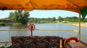 DSC04930.JPG