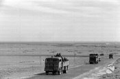 15_Una colonna motorizzata dell'esercito italiano avanza lungo una strada.jpg