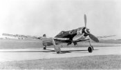 5dbd9950c581.jpg