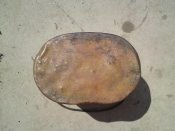 DSC01818.JPG