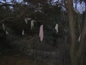 IMG_0026.jpg