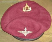 beretsandbadges.JPG