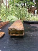 IMG_1490.JPG
