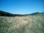 20150809132335.jpg