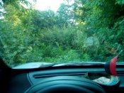 20150809134958.jpg