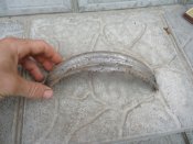 DSC00683.JPG
