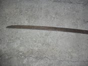 SAM_7071.JPG