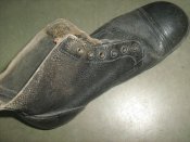 IMG_2412.jpg